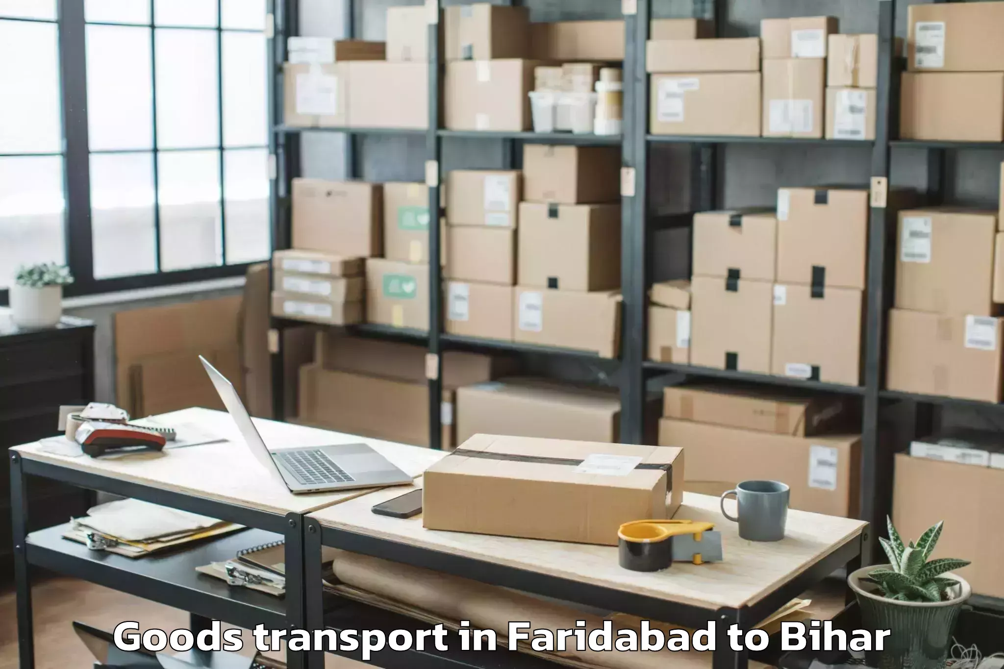 Professional Faridabad to Dumra Goods Transport